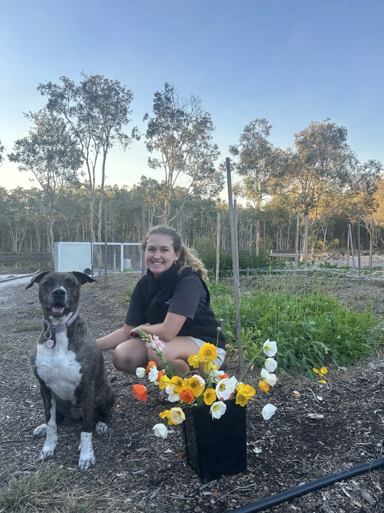 In the garden at dusk with one of the farm dogs