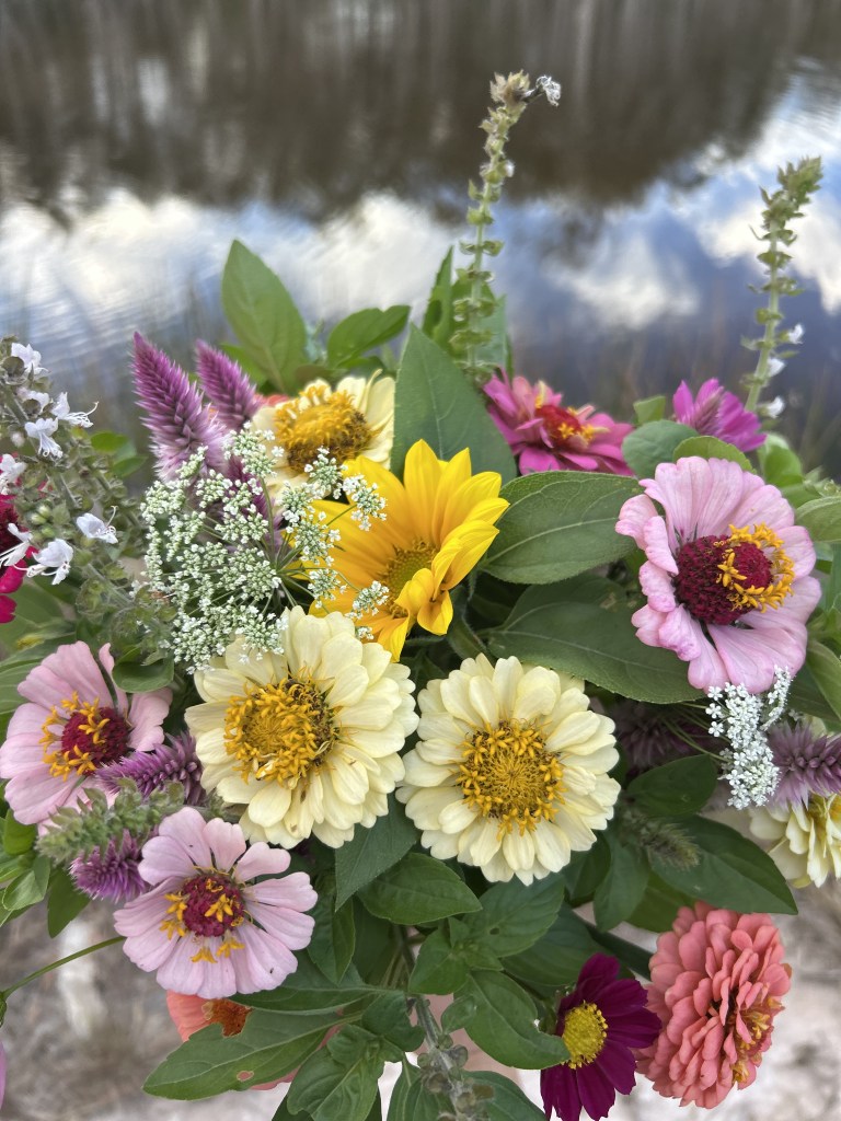 A seasonal bouquet picked at Paperbark Petals